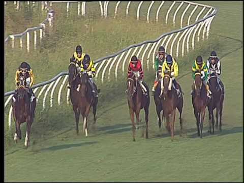 Galoppo 27/08/2016 - 2° corsa