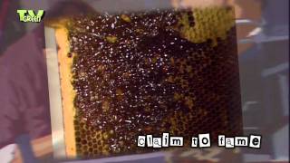 Beekeeper / Imker #02