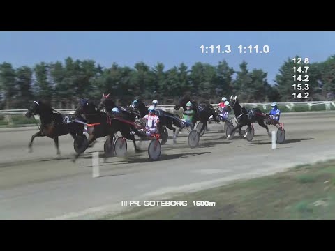 Corse di Trotto del 14 Settembre 2023