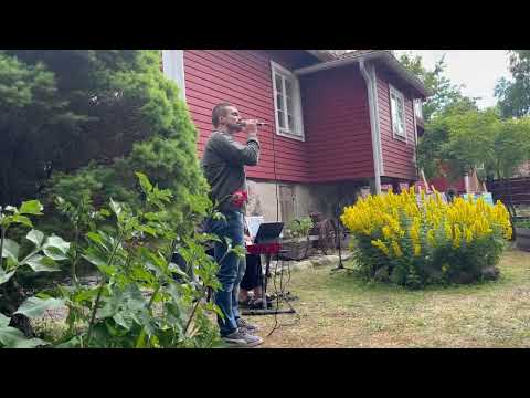 Stad i ljus - Niklas Hultberg