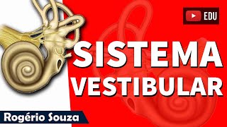 SISTEMA VESTIBULAR (Aula completa) - Rogério Souza