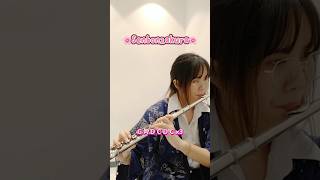 Download lagu 🌸Senbonzakura Flute ver.🌸 #千本桜 #フルート #tutorial #senbonzakura #flute #吹いてみた #mikuhatsune #shorts mp3
