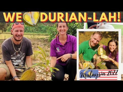 , title : 'Malaysia Made Us Fall In Love With Durian at a Farm! 🇲🇾'