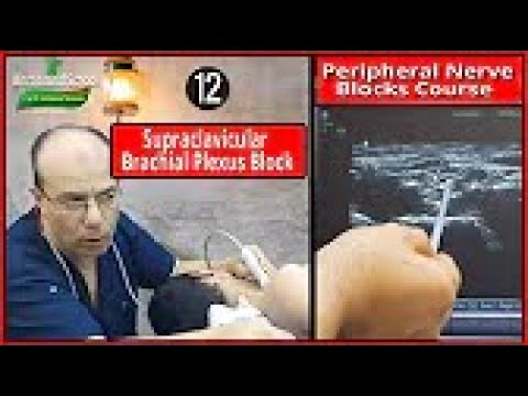 Basic Physics of Ultrasound Part 1 Mohamed Hamada 1