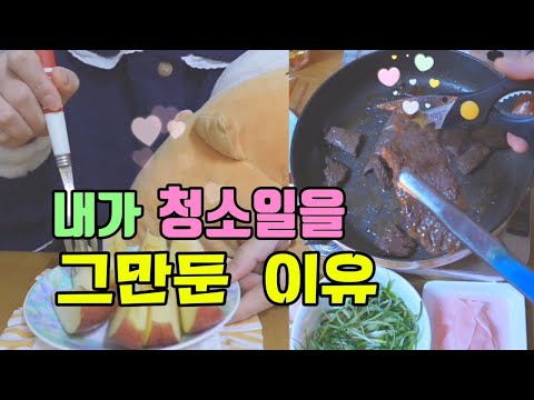 반지하 브이로그,내가 청소일을 그만둔 진짜 이유-대청소 일을 5년 하며 느낀점,행복한 일이란 어떤 일일까?