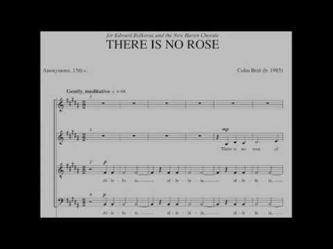 There is no Rose