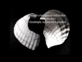 Beautiful Goodbye - Josh Kelley (lyrics).wmv