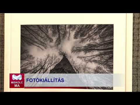 Videó előnézet