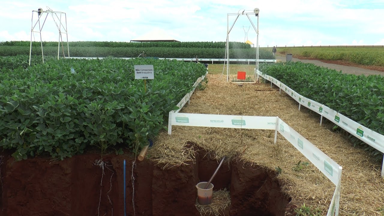 Manejo do solo e benefícios para infiltração de água no solo