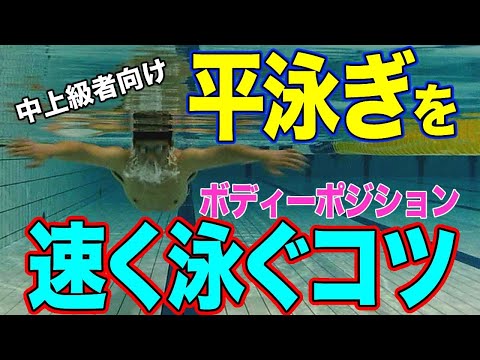 3Dアニメ・動画・画像検索 | Swimming.jp