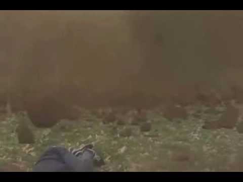 FxGuru 20131107 144417