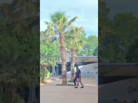 Buharlı Vantilatör Sistemiyle Ferah Serinlik