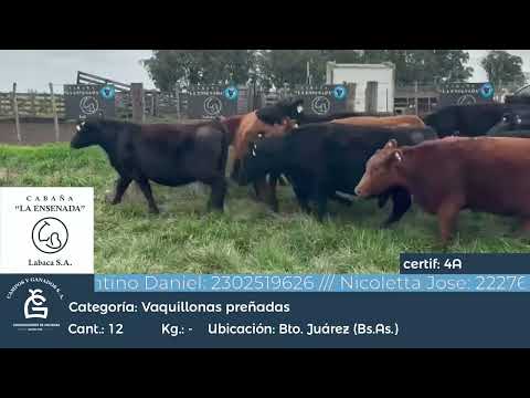 Lote VQ GENERALES - CGP