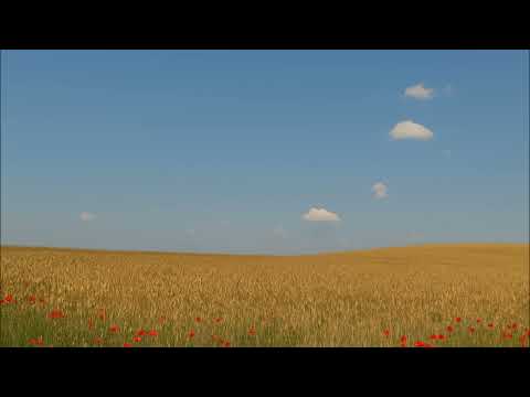 Tri poučne priče - Lav Tolstoj