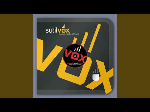 Why Did Ya? feat. Shena (David Gausa SutilVox Edit Mix)