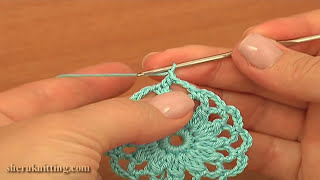 Crochet Mesh Circle Coaster