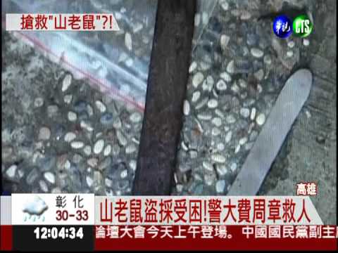 上山盜採牛樟菇! 山老鼠受困被捕