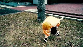 【Cosplay】霹靂一閃を再現してみた【after effects】