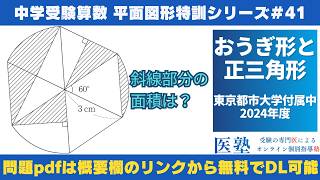 【#中学受験算数  #過去問解説  】#平面図形  特訓41｜おうぎ形と正三角形【東京都市大学付属中2024年】