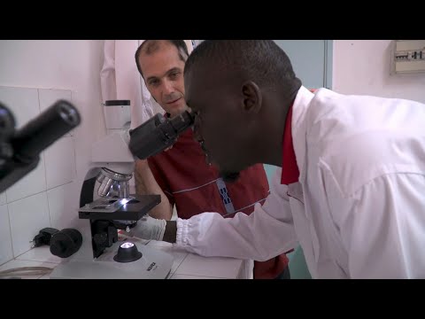 Ivory Coast lab aims to rid Africa of the 'sleeping sickness' | AFP