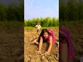 O Ghar Aaja Pardesi Ji Bollywood Gadar Song Hindisong Viralshort Viralsong Funny Video Yout