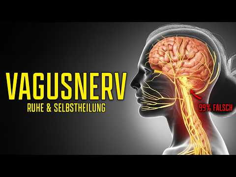 Vagus Nerve Explained: The Rest and Recovery Switch That 99% Operate Incorrectly