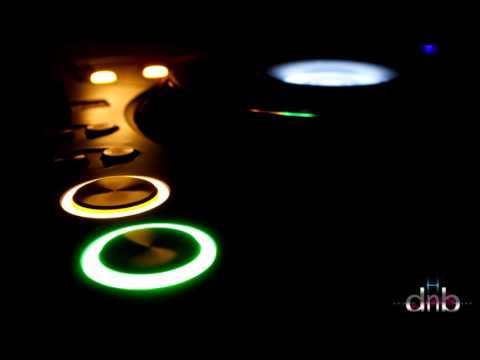 DRS feat. LSB & Tyler Daley - The View (Calibre Remix)