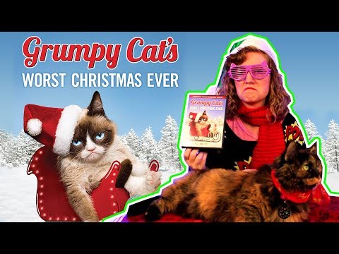 Grumpy Cat's (Not Actually) Worst Christmas Ever (Movie Nights)