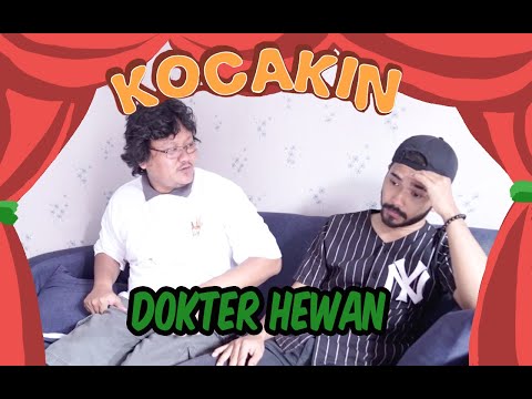 kocakin-dokter-hewan
