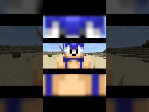 I think sonic is racist #meme #shorts #sonic