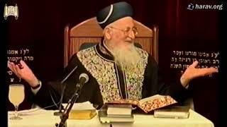 הלכות שאלת ובקשת גשמים - פרשת נח - א' חשון תשס"ז - מרן הרב מרדכי אליהו (הרב מרדכי אליהו זצ"ל) - התמונה מוצגת ישירות מתוך אתר האינטרנט יוטיוב. זכויות היוצרים בתמונה שייכות ליוצרה. קישור קרדיט למקור התוכן נמצא בתוך דף הסרטון