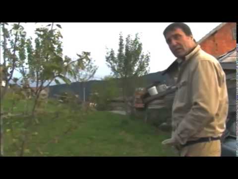 Sasvim Prirodno - nakurnjak