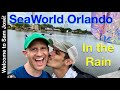SeaWorld Orlando On A Rainy Day And Electric Ocean