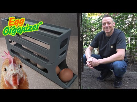 Chicken Tip 40 - Egg Organizer Review - Egg Holder - Egg Dispenser
