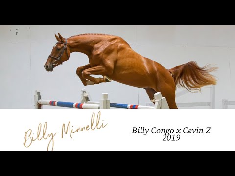 Billy Minnelli