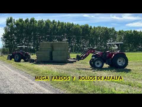 MEGA FARDOS DE ALFALFA DE GRAN CALIDAD, ESTABLECIMIENTO RANCHO GRANDE EN POMONA RÍO NEGRO