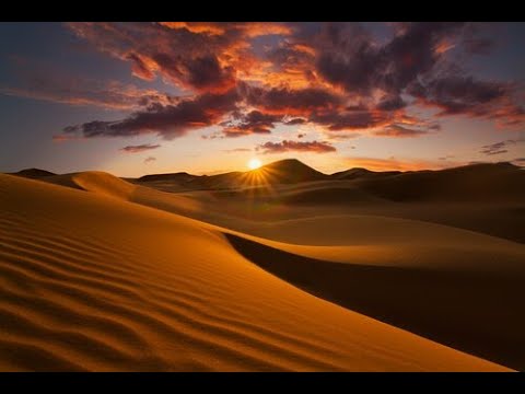 Salam Alaikum (Sfera Ebbasta feat. 7ari & Steve Aoki) INSTRUMENTAL