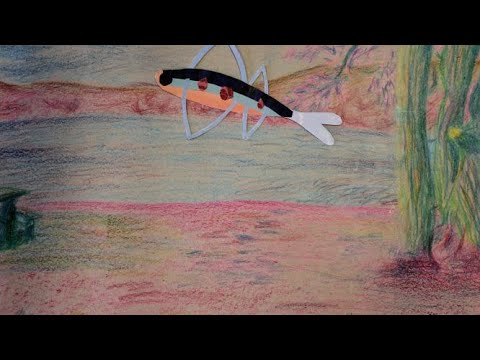 flying fish animation [for school]