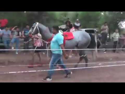 carrera de corazón valiente del 31/10/2021