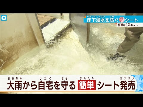 多面的な効果をもたらす洪水防御