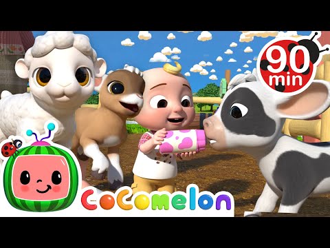 Ol' MacDonald with Cute Baby Animals! | Animals for Kids | Funny Cartoons | Learn about Animals
