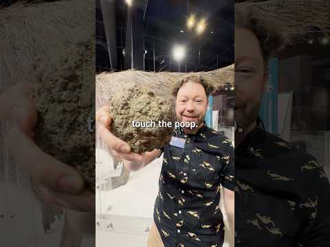 💩 TOUCH THE DINO POOP! #COSI #science #dinosaur