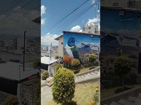 #Riobamba desde las alturas: una ciudad para admirar . #turismo #travel