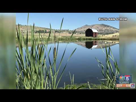 Snaps on Sunrise 2.09.2026 - YouTube