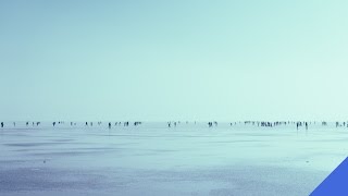 Dia Frampton - Crave (Fabian Mazur Remix)