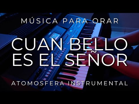 1 HORA MUSICA PARA ORAR Y MEDITAR | SIN ANUNCIOS | CUAN BELLO ES EL SEÑOR | FONDO MUSICAL