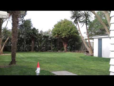 4 Huntingtree Avenue, Sandringham - Ketiesha Elliott & Karen Captain - Myagent