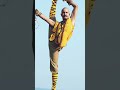 Commando Trainer Grandmaster Shifuji Shaurya Bharadwaj Shorts Ytshorts Shifuji
