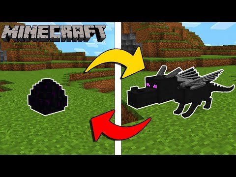 14 COSE CHE NON SAI SU MINECRAFT, TI SFIDO!!