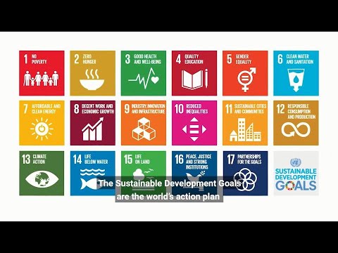 Support Sustainable Development and Climate Action | United Nations